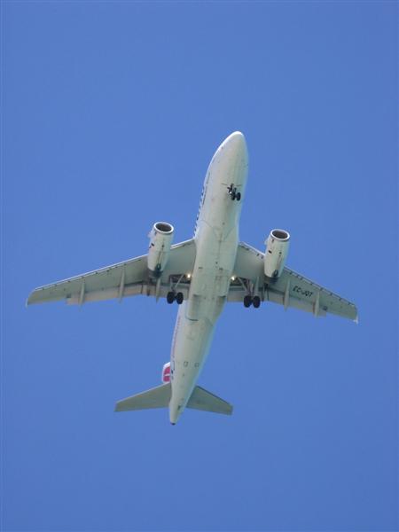 Ibiza 3304